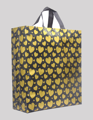 Shree 3d Box Bag | Standard | Eco Friendly | S50