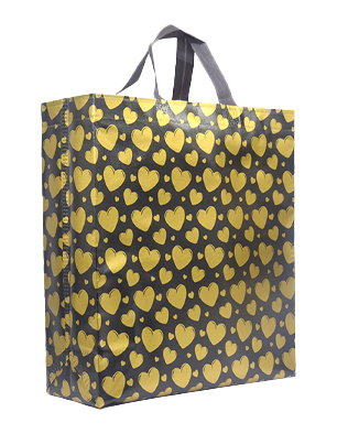 Shree 3d Box Bag | Standard | Eco Friendly | S50