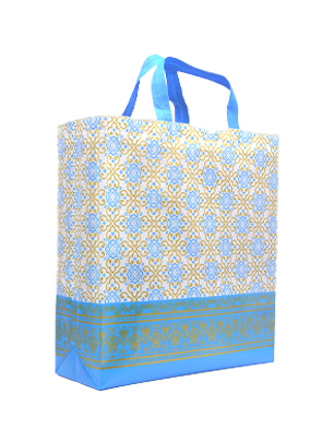 Shree 3d Box Bag | Standard | Eco Friendly | S100