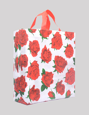 Shree 3d Box Bag | Floral | Eco Friendly | S22