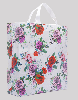 Shree 3d Box Bag | Floral | Eco Friendly | S20