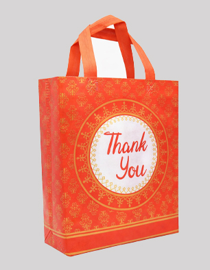 Shree 3d Box Bag | Standard | Eco Friendly | S114