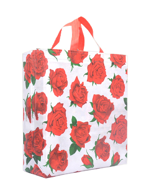 Shree 3d Box Bag | Floral | Eco Friendly | S22